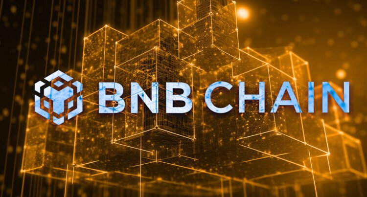 bnb chain和opbnb的区别